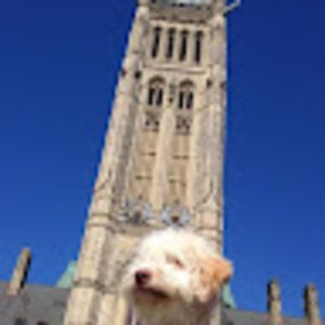 Meet your Posher, Bronson